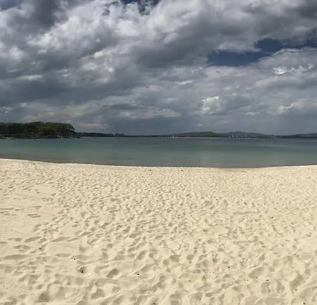 Проживание в семье Family Avenue *