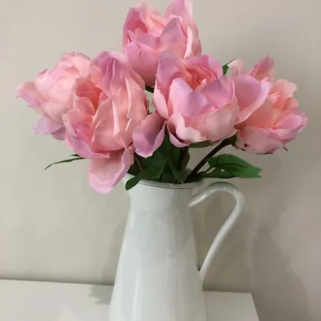 Family Avenue Проживание в семье *