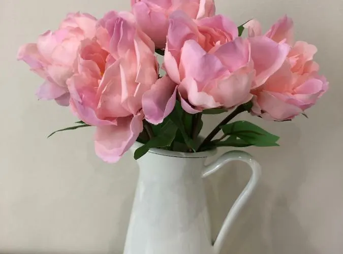 Family Avenue 民宿 *